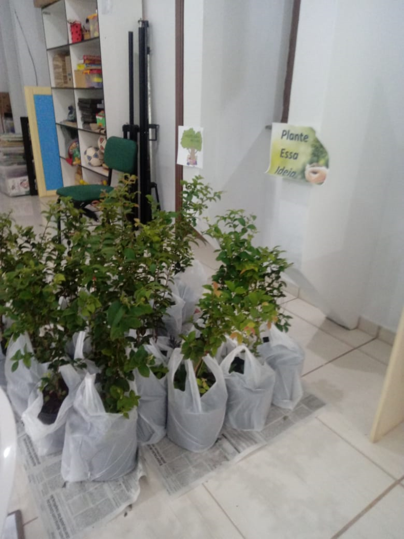 PROJETO: PLANTE ESSA IDEIA, ADOTE UMA ÁRVORE 🌿🌱🌳